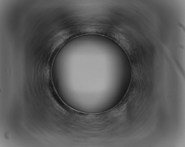 X0000095530016200712141512