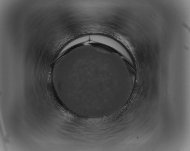X0000095530017200712141512