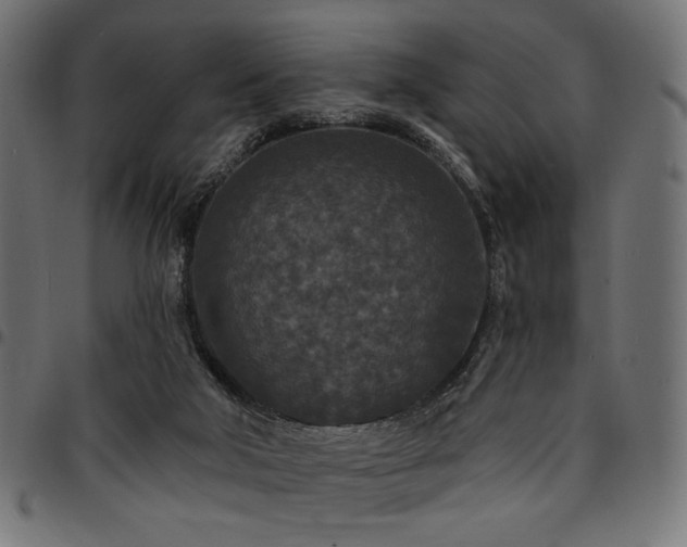 X0000095530018200712141512