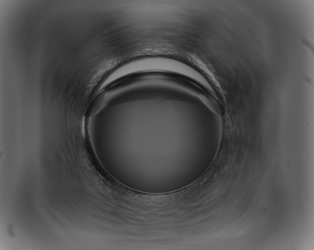 X0000095530019200712141512