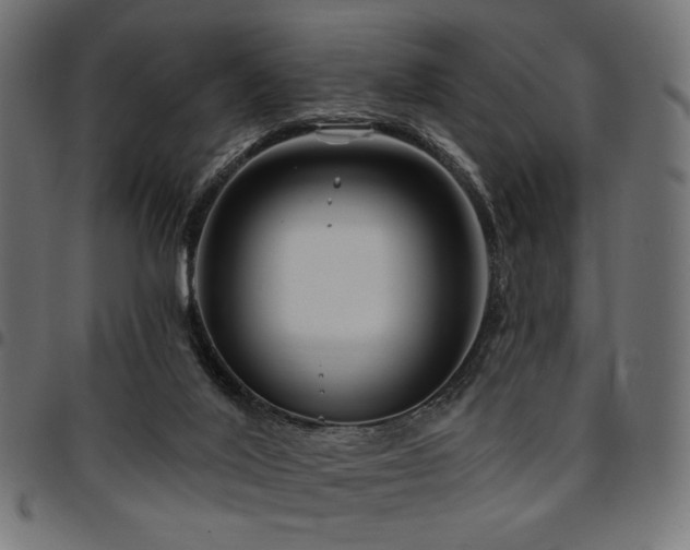 X0000095530020200712141512