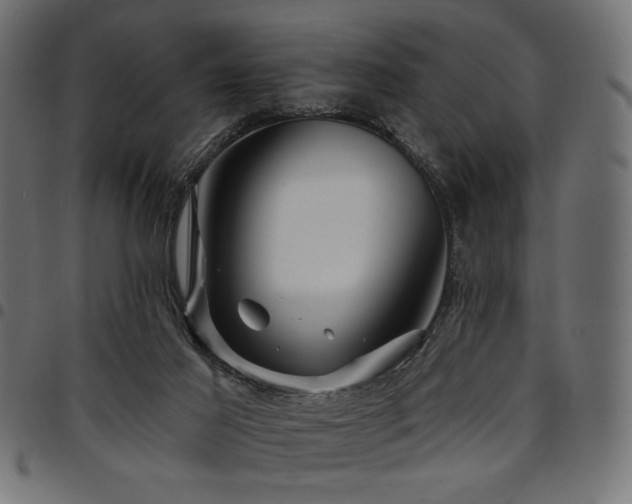X0000095530021200712141512