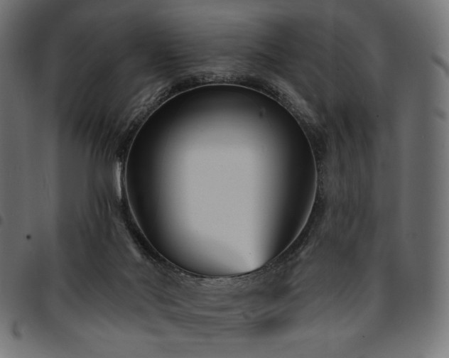 X0000095530022200712141512