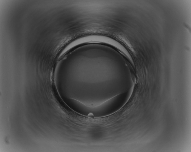 X0000095530023200712141512