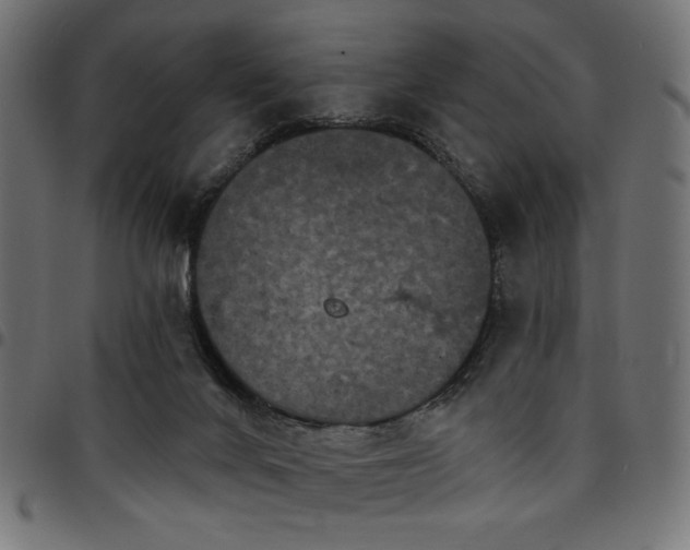 X0000095530024200712141512