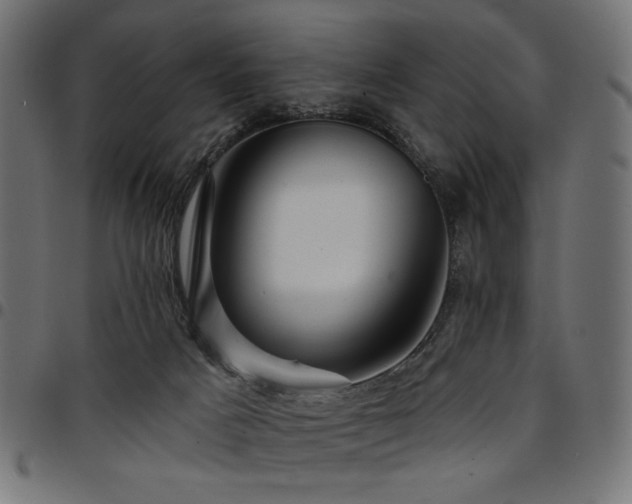 X0000095530025200712141512