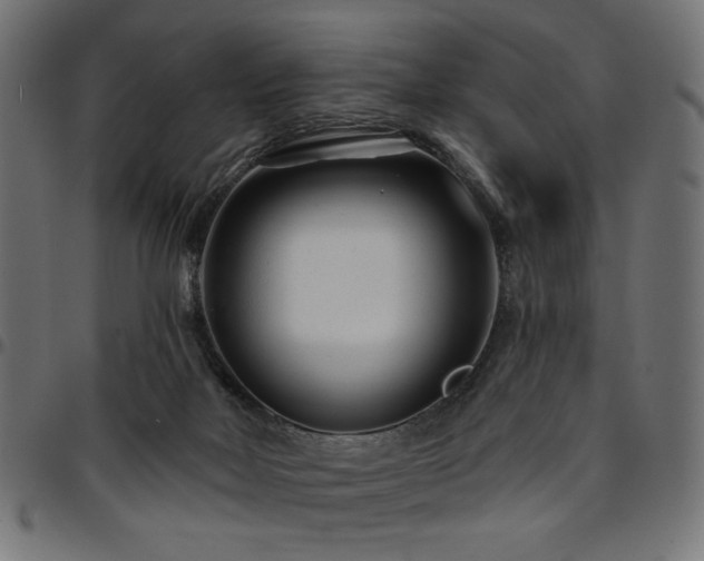 X0000095530026200712141512