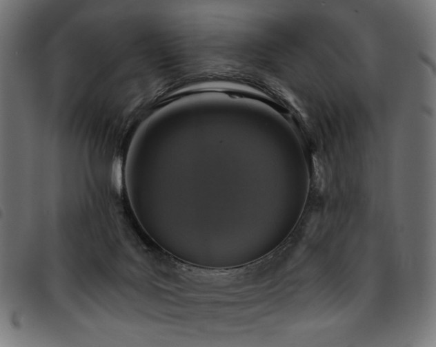 X0000095530027200712141512