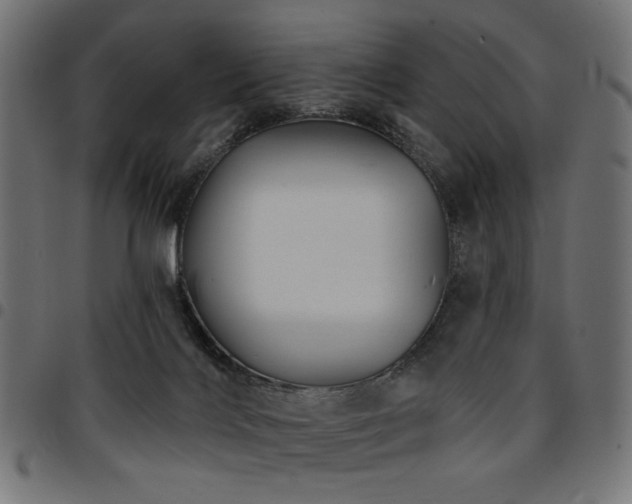X0000095530028200712141512