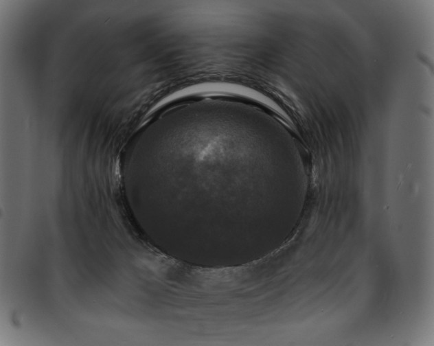 X0000095530029200712141512