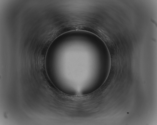 X0000095530030200712141512