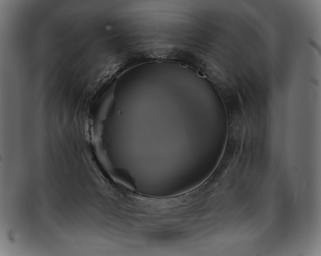 X0000095530031200712141512