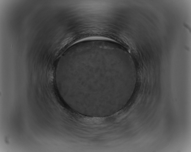 X0000095530032200712141512