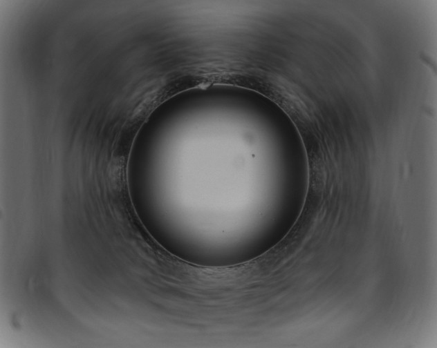 X0000095530034200712141512