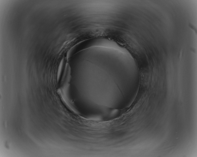 X0000095530035200712141512