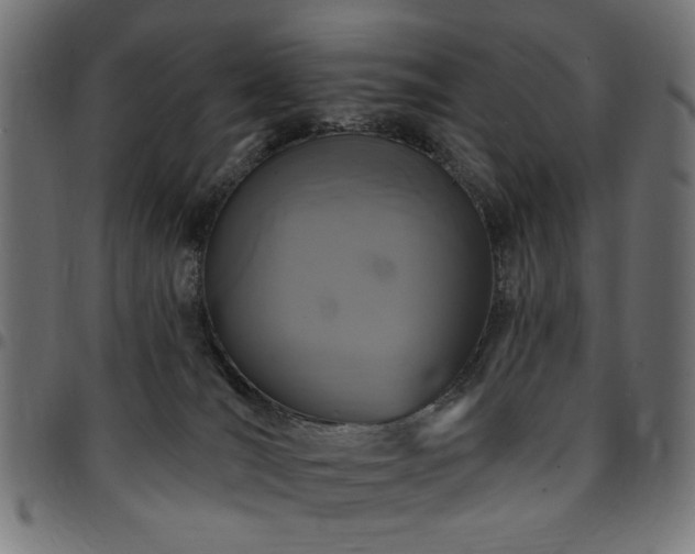 X0000095530036200712141512