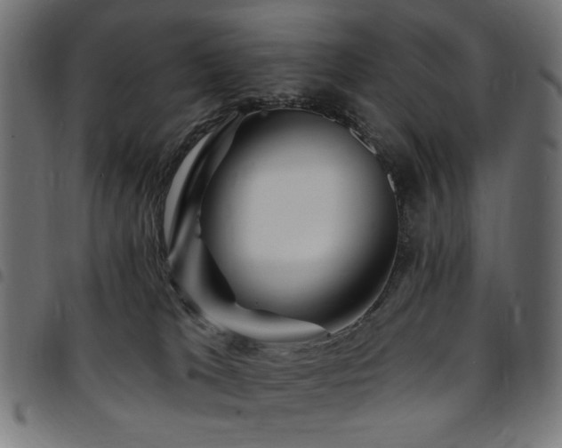 X0000095530037200712141512