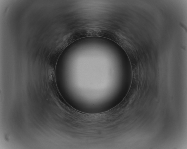 X0000095530038200712141512
