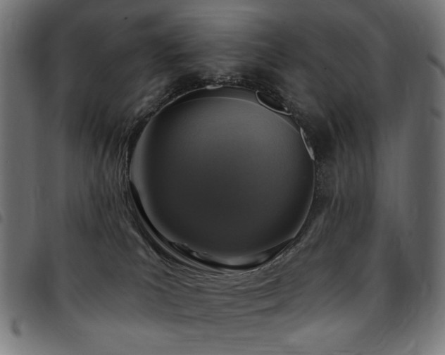 X0000095530039200712141512