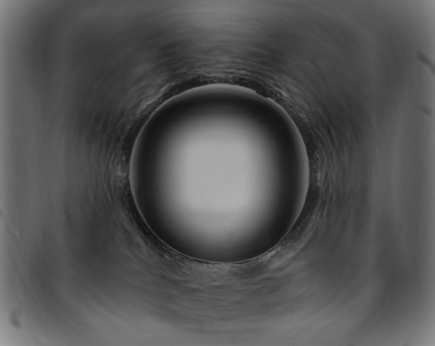 X0000095530040200712141512