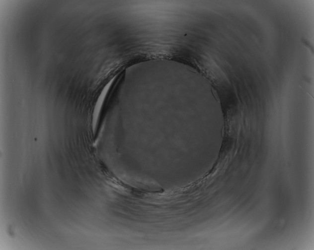 X0000095530041200712141512
