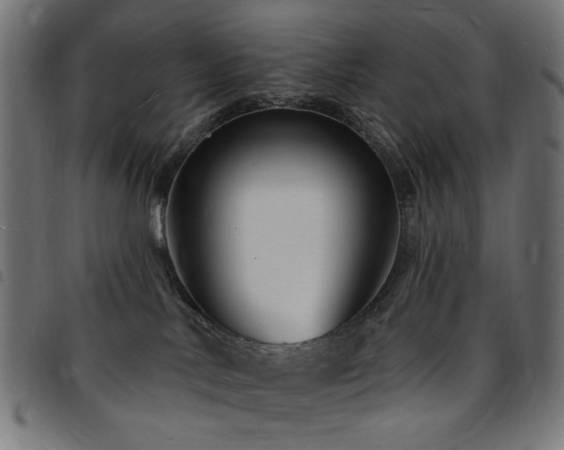 X0000095530042200712141512