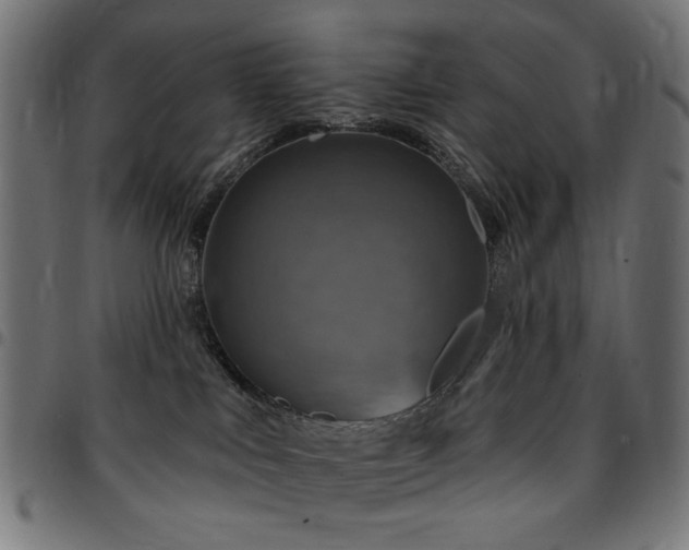 X0000095530043200712141512