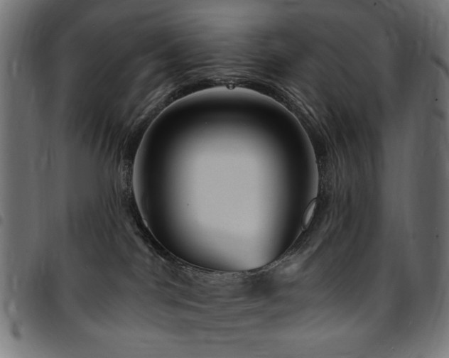 X0000095530044200712141512