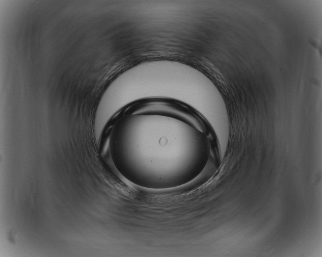 X0000095530045200712141512