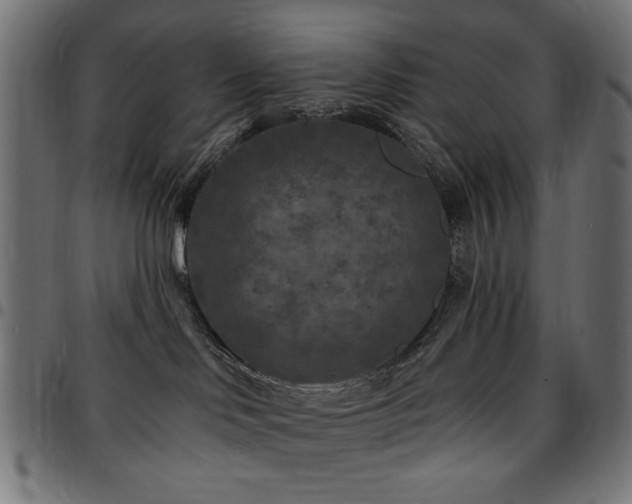 X0000095530046200712141512