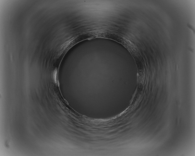 X0000095530047200712141512