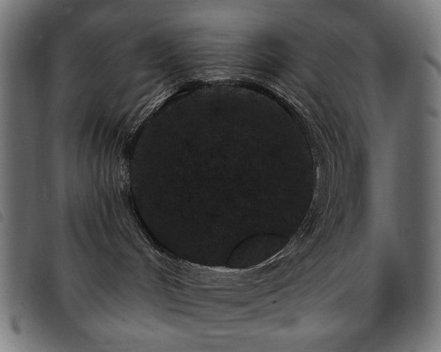 X0000095530048200712141512