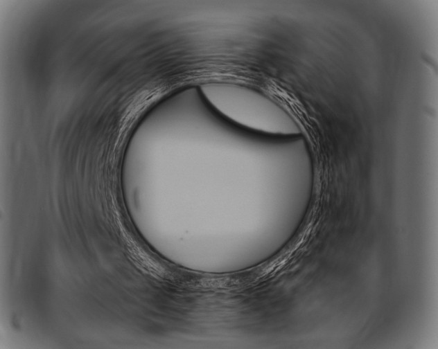 X0000095530049200712141511