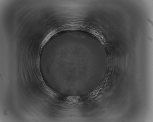 X0000095530051200712141511