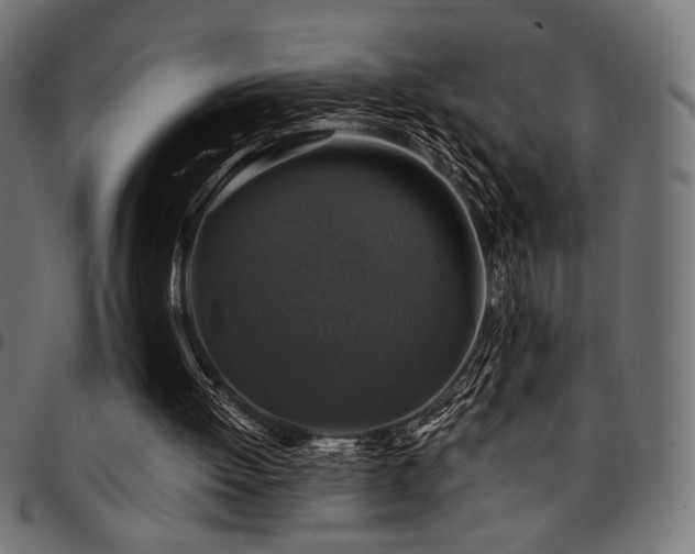 X0000095530052200712141511