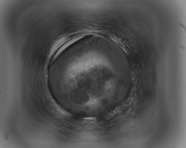 X0000095530053200712141511