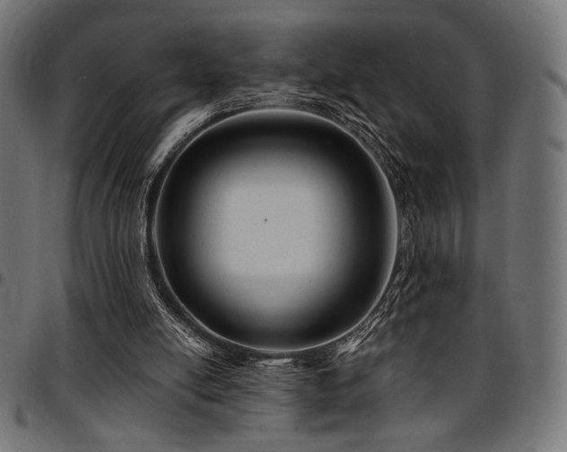 X0000095530054200712141511