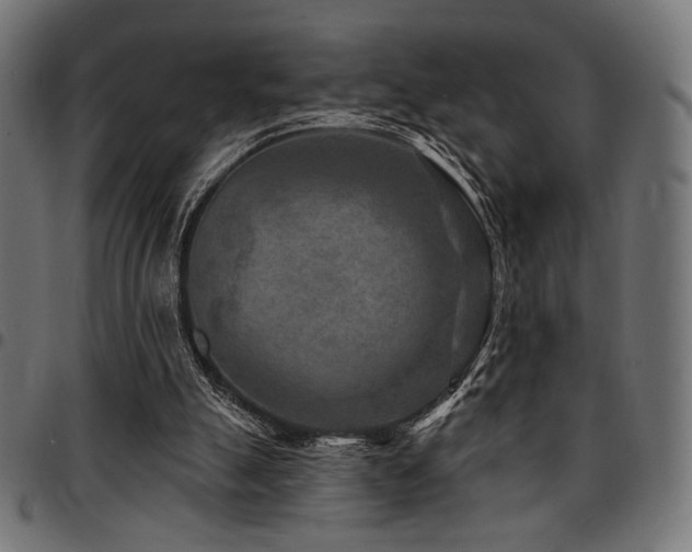 X0000095530055200712141511