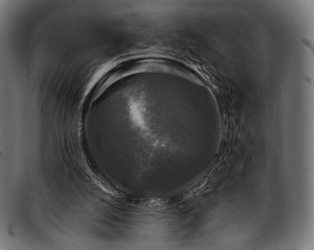 X0000095530056200712141511