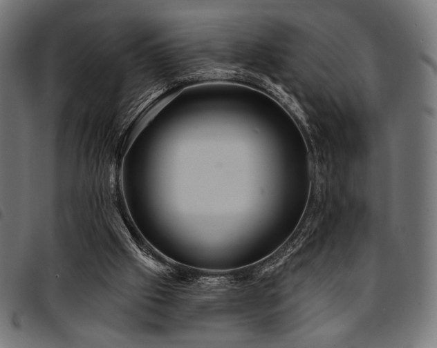 X0000095530057200712141511