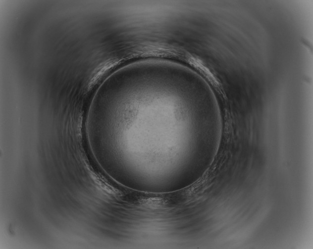 X0000095530058200712141511