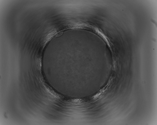 X0000095530059200712141511