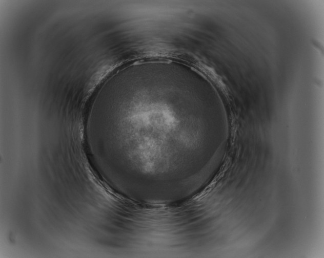 X0000095530060200712141511