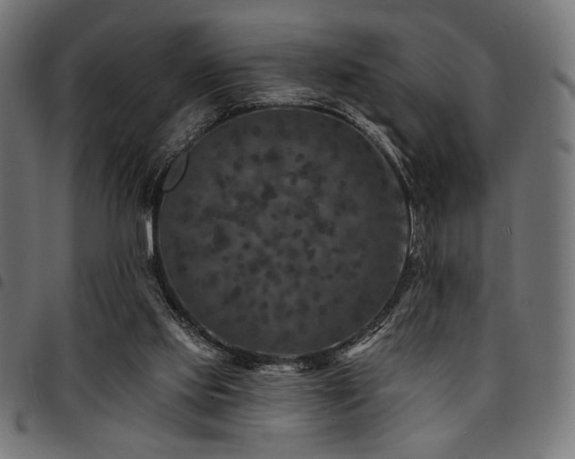 X0000095530061200712141511