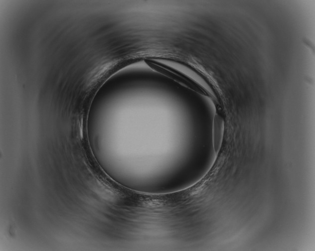 X0000095530062200712141511