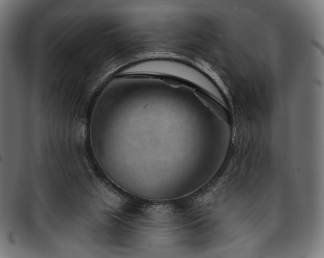 X0000095530063200712141511