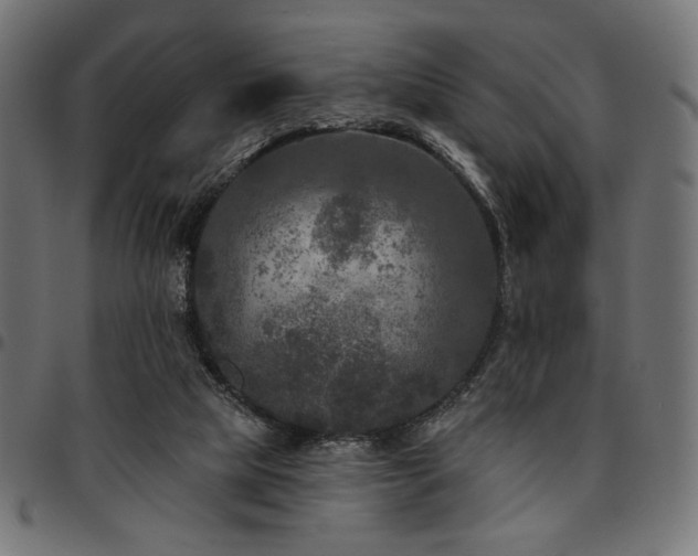 X0000095530065200712141511