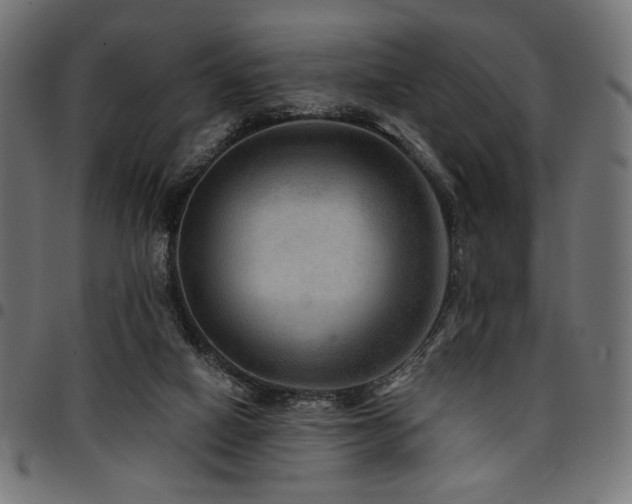 X0000095530066200712141511
