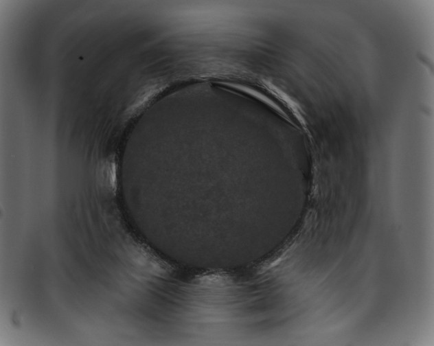 X0000095530067200712141511
