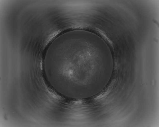 X0000095530068200712141511